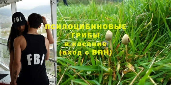 марки nbome Кукмор