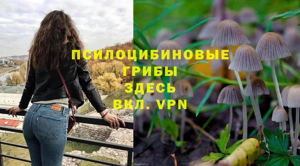 метадон Краснослободск