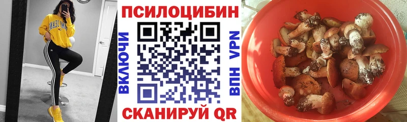 Псилоцибиновые грибы ЛСД  kraken онион  Ахтырский 